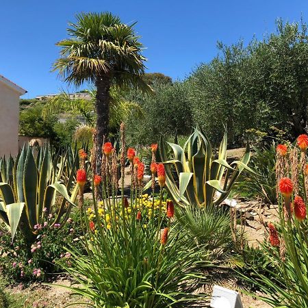سانريمو La Casa Di Sissi B&B المظهر الخارجي الصورة