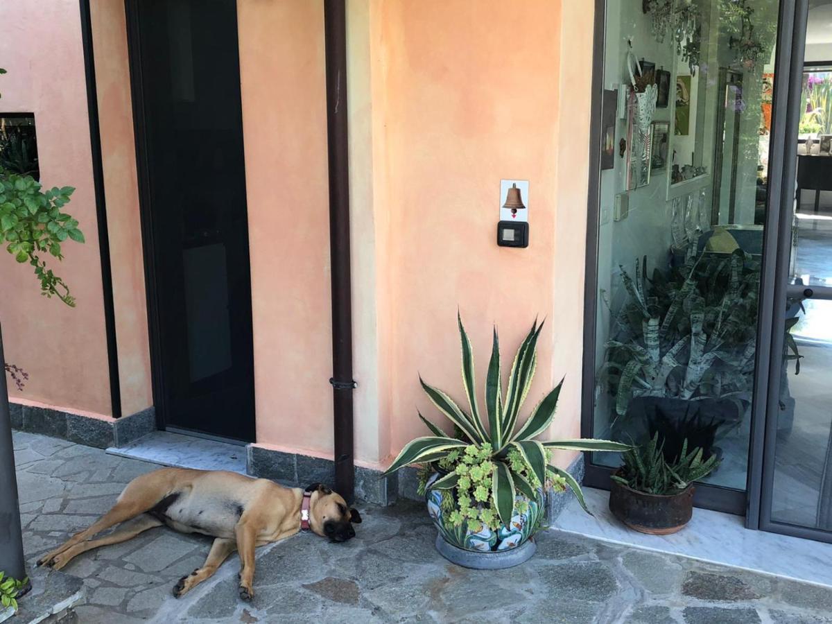 سانريمو La Casa Di Sissi B&B المظهر الخارجي الصورة